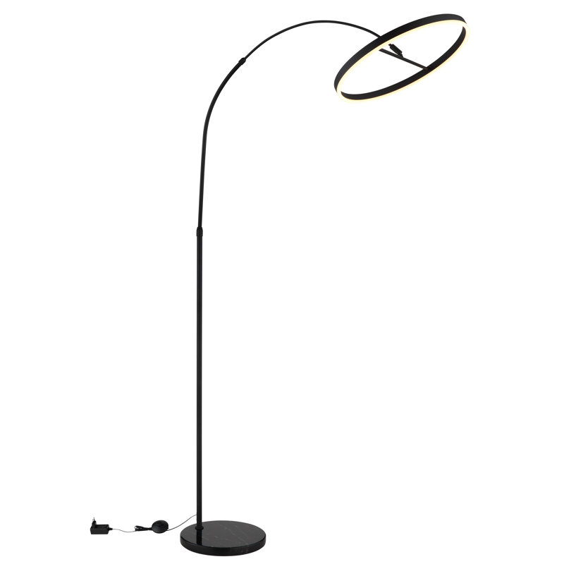 203cm Matte LED Novelty Floor Lamp