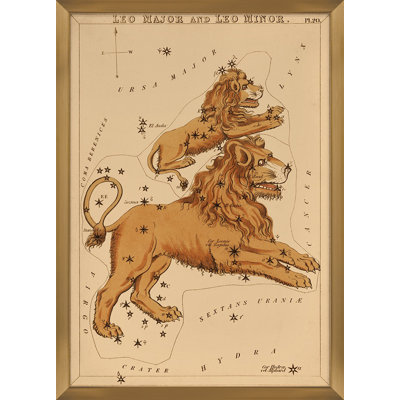 Leo Print by Grand Archives