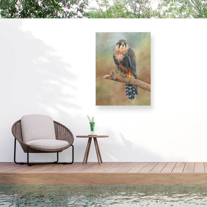 Toile d'extérieur David Stribble Aplomado Falcon, H 18 po x l 24 po