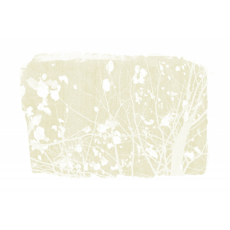 Wrapped Canvas Print, 50.8 cm H x 76.2 cm W