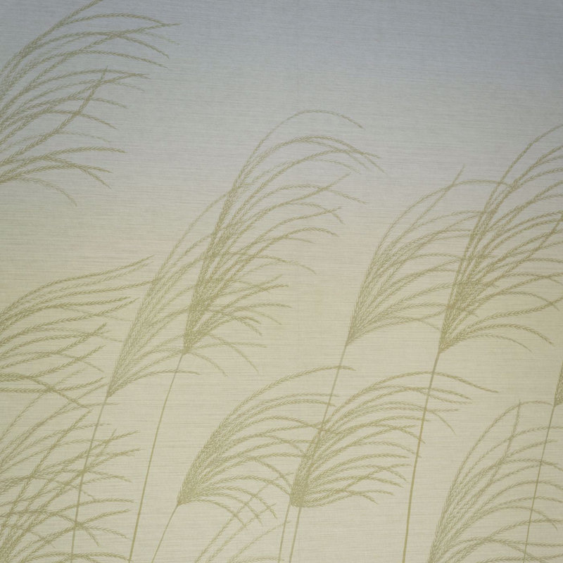 Miscanthus, Buttermilk/Sky