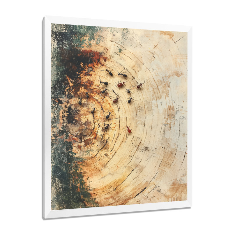 Gervydas - animaux, reproductions d'art mural, Reproduction encadrée sans passe-partout, Blanc, H 20 po x l 12 po