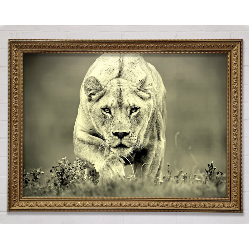 Lioness Hunting - Single Picture Frame Print, 29.7cm H x 42cm W