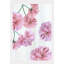 Ichiyo Cherry Blossoms On Pale Green Print-1392496277