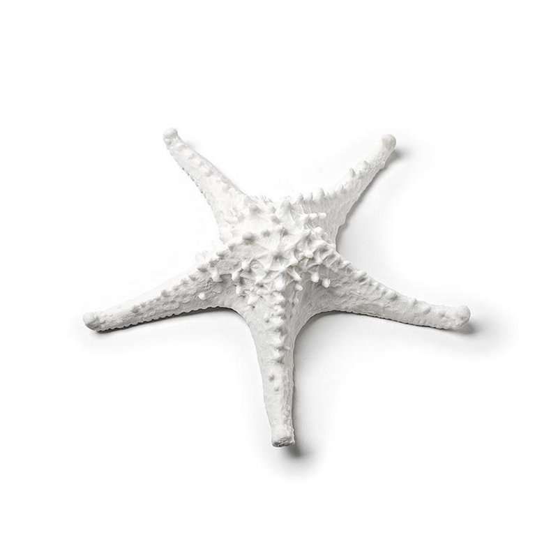 Décoration 3D étoile de mer, H 7,48 po x l 7,48 po x P 2,36 po