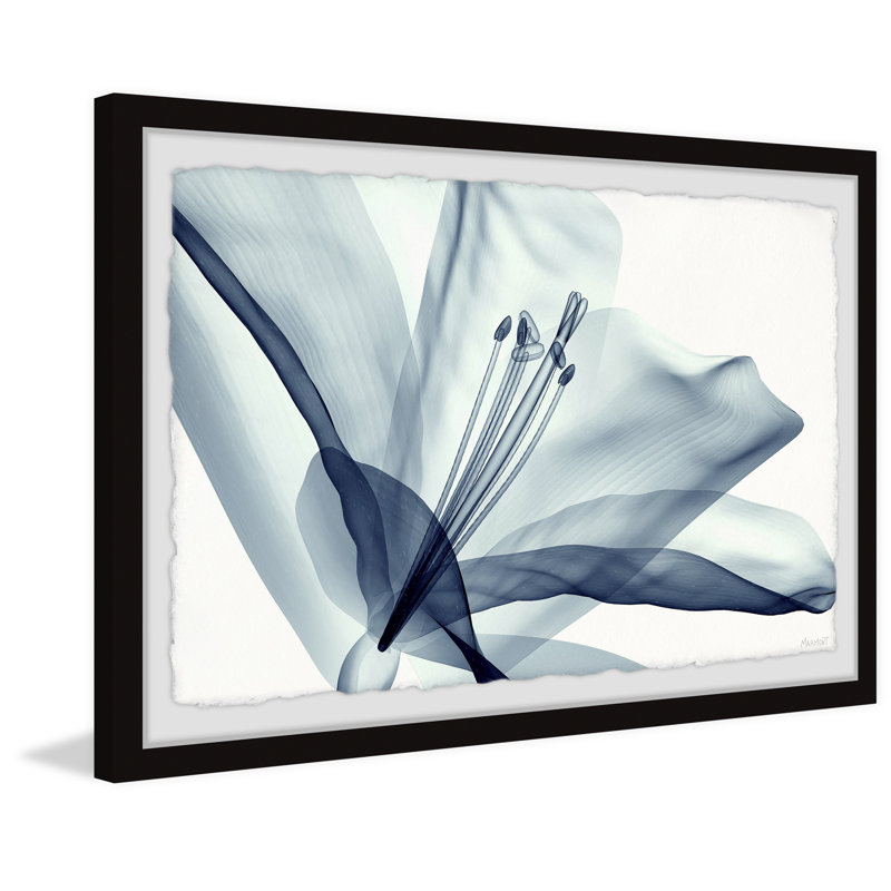 Spread Your Love by Marmont Hill - Single Picture Frame Painting, 20cm H x 30cm W