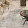 Julyn Abstract Indoor Rug