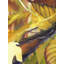 Cheasty Fall Panel #1 Print by John Smither-65824762-65848950