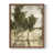 Noyer