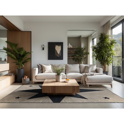 Soft Plush Eberhard Posh & Luxe Starburst Area Rug in Grey – Black Binding