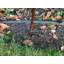 Stylish Isaiah Cat & Mouse Metal Garden Wind Spinner - Hand-Finished Outdoor Lawn and Garden Décor Statue
