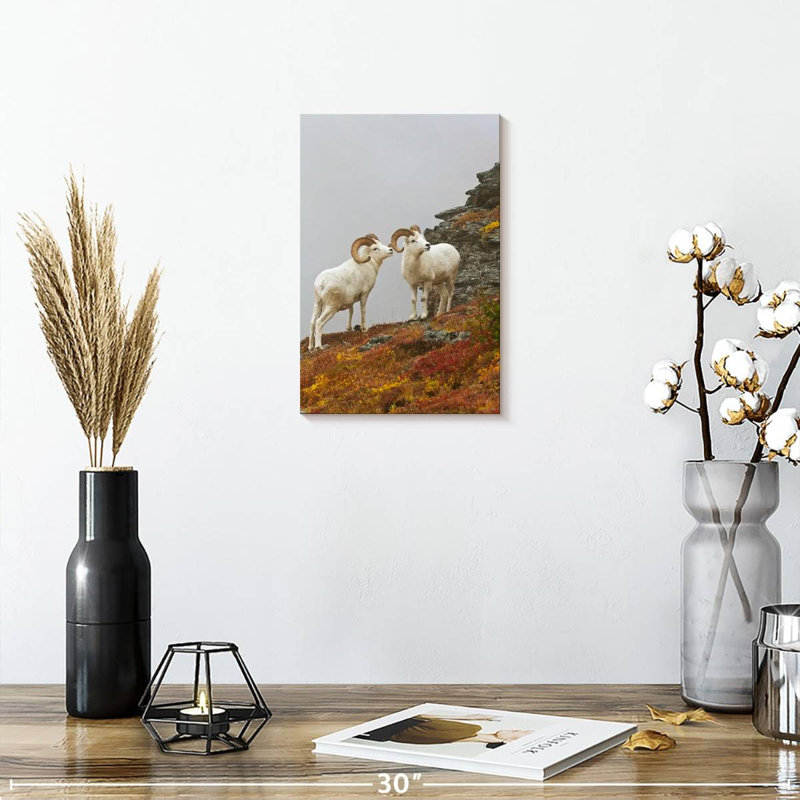 White Bighorn Sheep, 12" H x 8" W