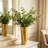 Hosley Set of 2 Gold Metal French Bucket with Handles & PVC Liner, 6" Dia x 15" H for Weddings, Parties, Country Picnics, Floral Arrangements, Tableware Storage, or Gardens - Rustic Farmhouse Décor