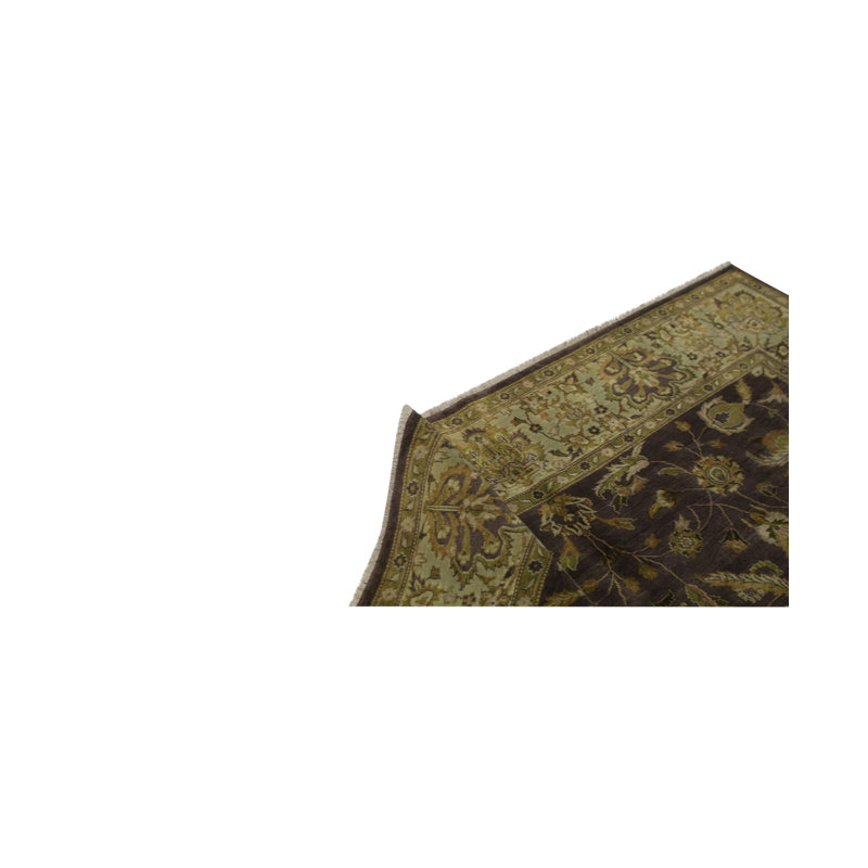 Wool Oriental Area Rug in Beige/Dark Brown/Olive