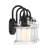 Raleigh 3-Light Dimmable Seeded Glass Vanity Light-512112913