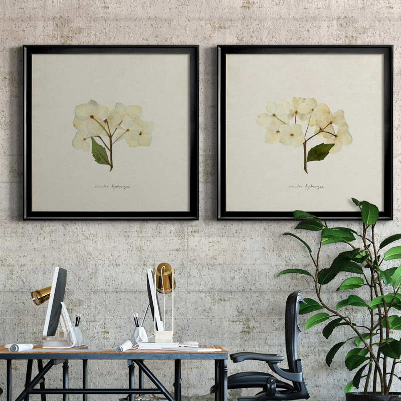 Cornales Hydrangea I Cornales Hydrangea I - ensemble de 2 reproductions de cadres photo, H 26,5 po x l 53 po, Noir