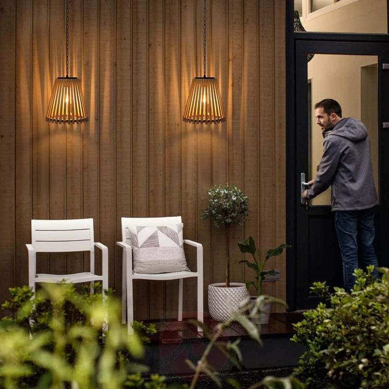 Luminaire suspendu d'extérieur câblé 7 po