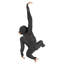 Hanging Jungle Monkey Statue