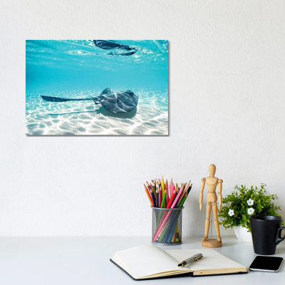 Underwater Ray Reef Snorkelling 1 Piece Wrapped Canvas Wall Art