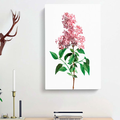 Chinese Lilac Flowers by Pierre-Joseph Redoute - Wrapped Canvas Painting