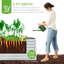 Ensemble de lit de jardin surélevé galvanisé 2Pack Denishia, jardinière extérieure-966953455-993126020