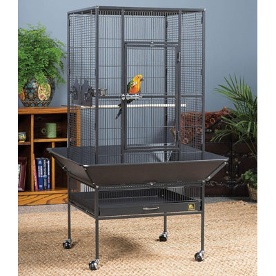 Cage à oiseaux en acier à toit plat avec roulettes Hester