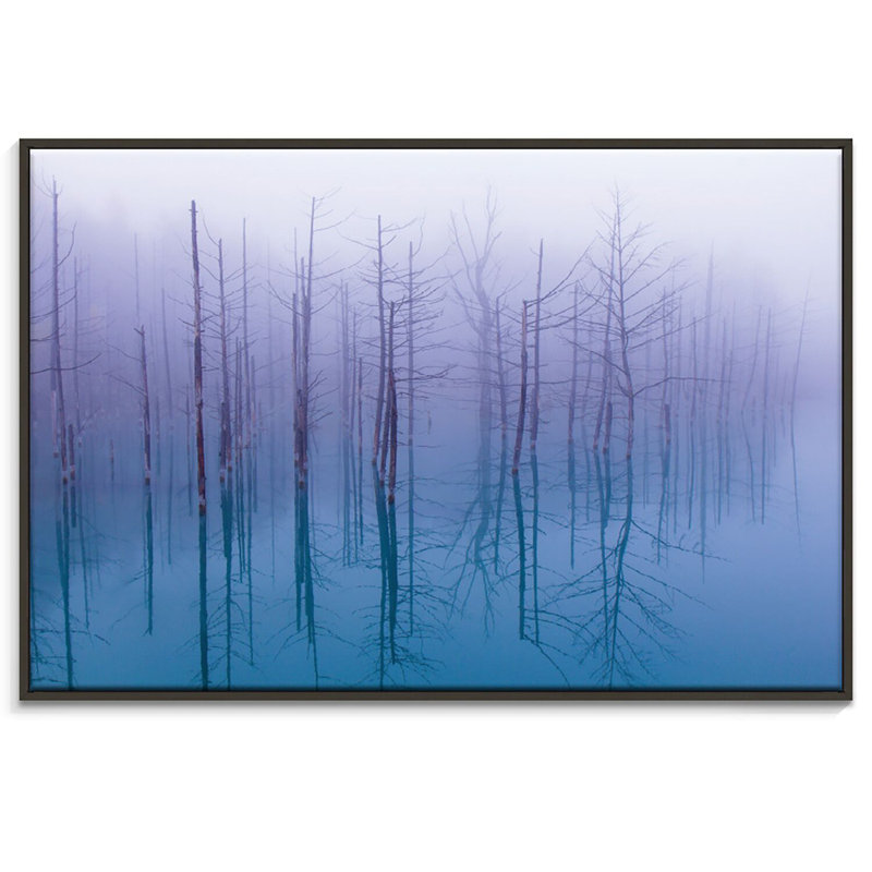 Print on Canvas, 102cm H x 152cm W, Black Floater Frame
