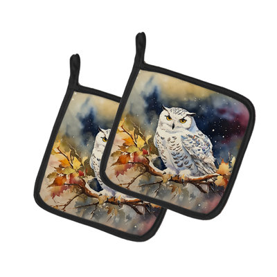 Paire de poignées Snowy Owl