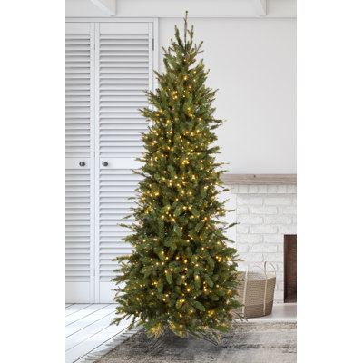 Lighted Christmas Tree