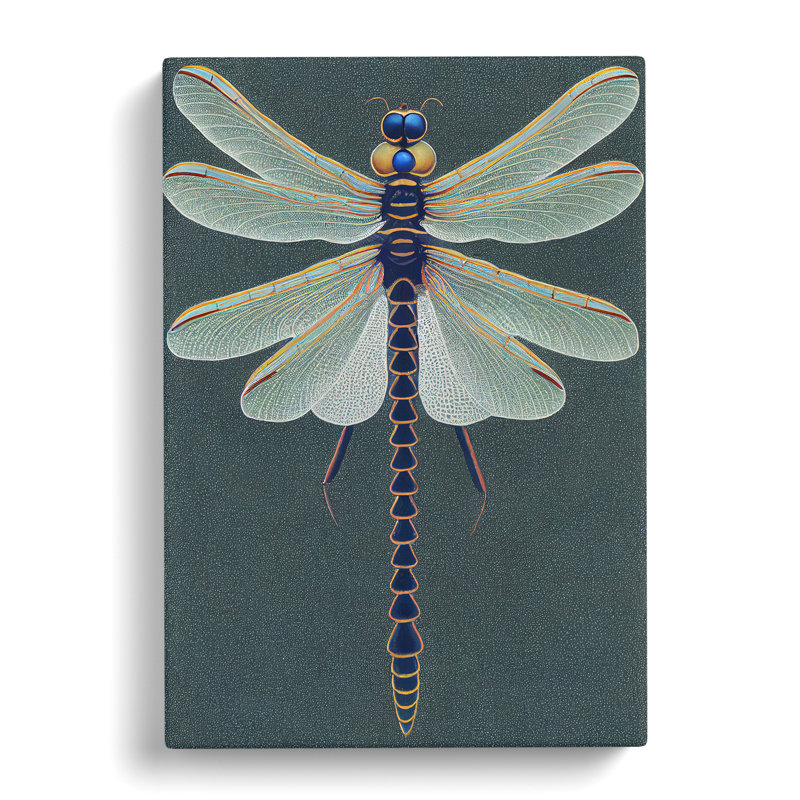 Legendary Dragonfly - Wrapped Canvas, 50cm H x 35cm W x 3cm D