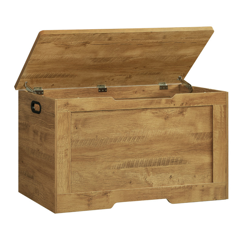 Coffre de rangement avec 2 charnières de sécurité, banc de rangement à plateau relevable, coffre de rangement pour chambre à coucher