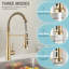 Eqloo Pull Down Kitchen Faucet