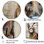 Reproduction d'art sur toile Sheperds-240203774-240203769