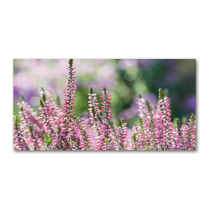 Heather Flowers - No Frame Print on Glass, Canvas, 50cm H x 100cm W x 2cm D