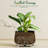 Ceramic Plant Pots 4.1+5.1+6.5 inch-1341610159