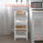 Edder 15.55'' W Plastic Shelving Unit-1295752409