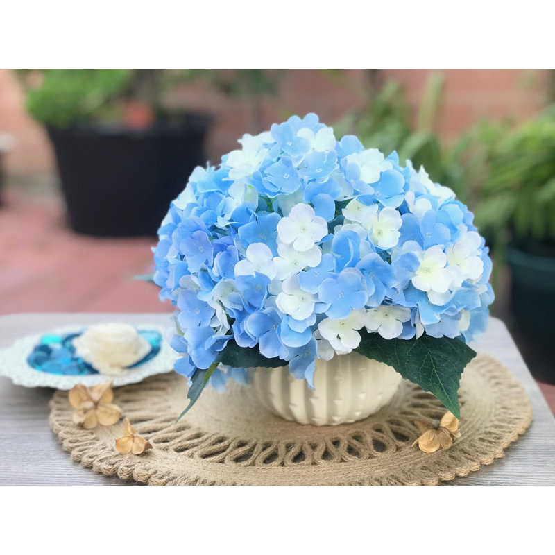 Agencements de fleurs artificiels et hortensiass en vase, Bleu