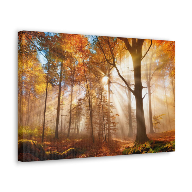 No Frame Print on Canvas, 45.72cm H x 60.96cm W