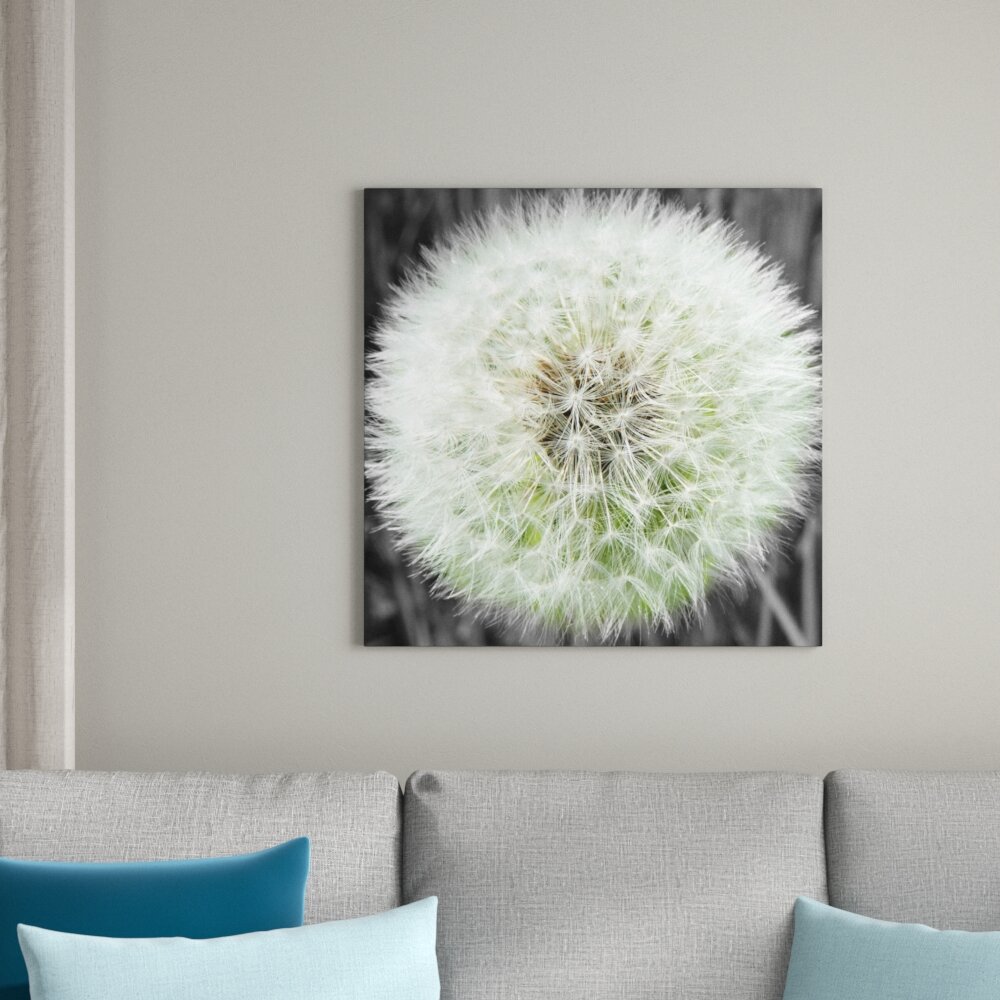 Leinwandbild Zarte Pusteblume