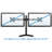 2 Screens Desk Mount