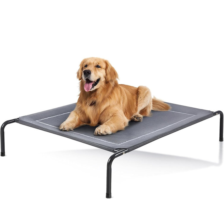 Outdoor Elevated Dog Bed - 49in Cooling Pet Dog Beds for Extra Large Medium Small Dogs - Portable Dog Cot for Camping or Beach, Durable Summer Frame W