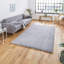 Kennedyville area rug Machine Woven Rectangle Grey-70523128