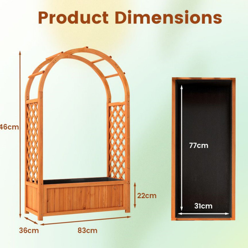 146cm H x 83cm W Wood Arched
