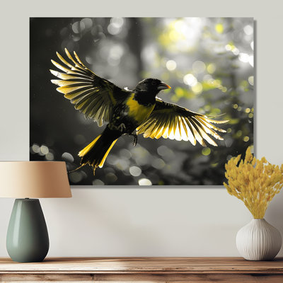 Jaune, noir, rythme de la forêt tropicale, oiseau II