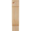 Corbeau alpin-1059789644-1059789617-1059789619