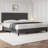 Kelner Upholstered Open-Frame Bed-76618944