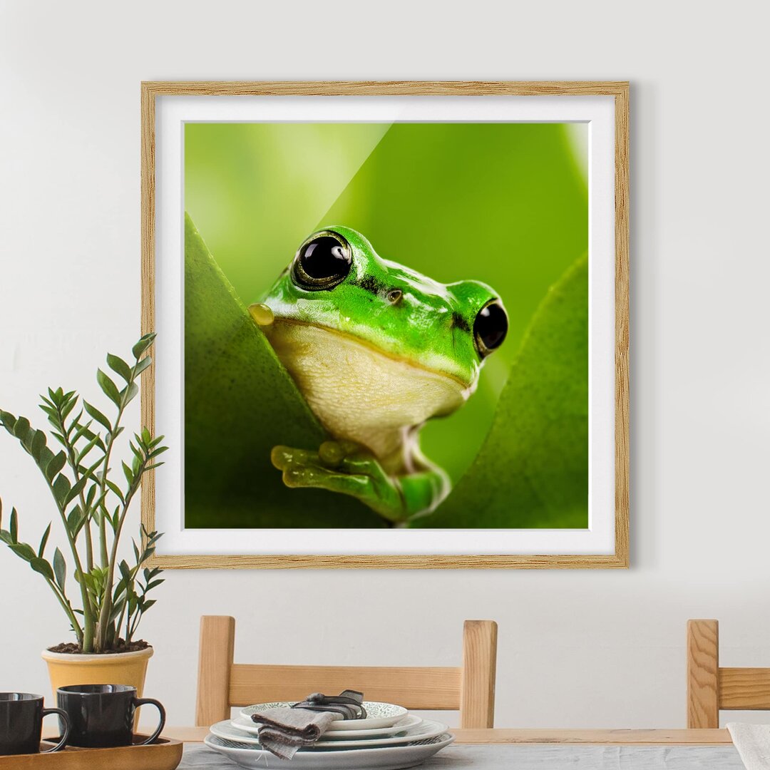 Gerahmtes Papierbild Wetterfrosch