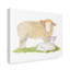 « life on the farm animal element iii », art sur toile-31882960