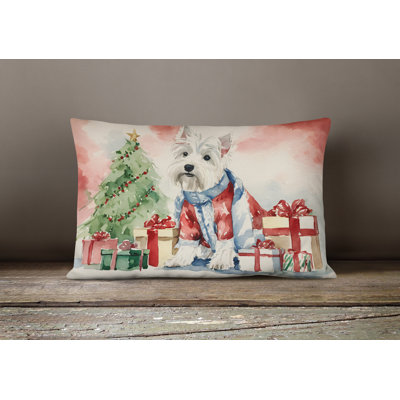 Other/No Pattern Outdoor Throw Pillow