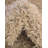 Santoya Indoor Rug-471702001